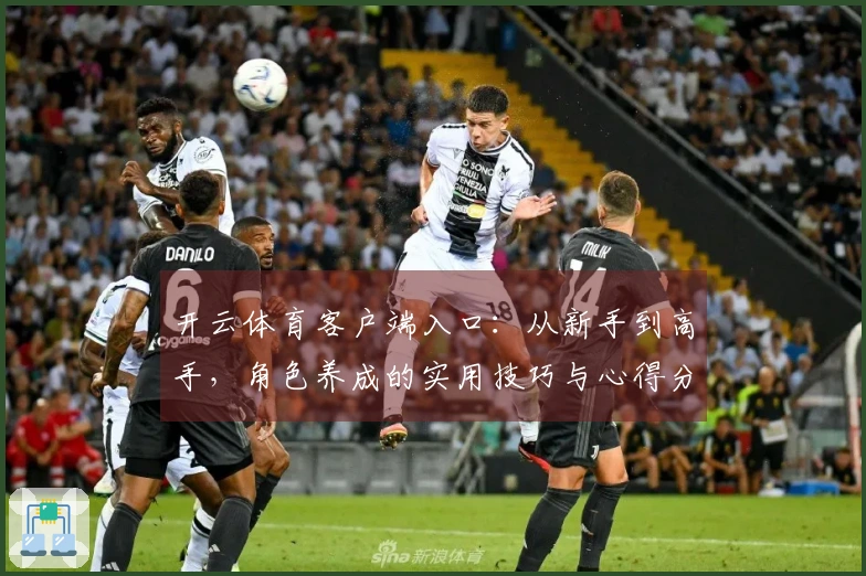 开云体育客户端入口：从新手到高手，角色养成的实用技巧与心得分享